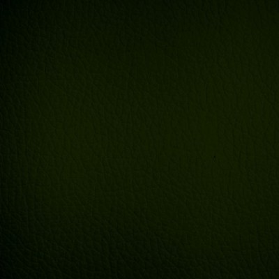 кожзам Oregon 01, темно-зеленый